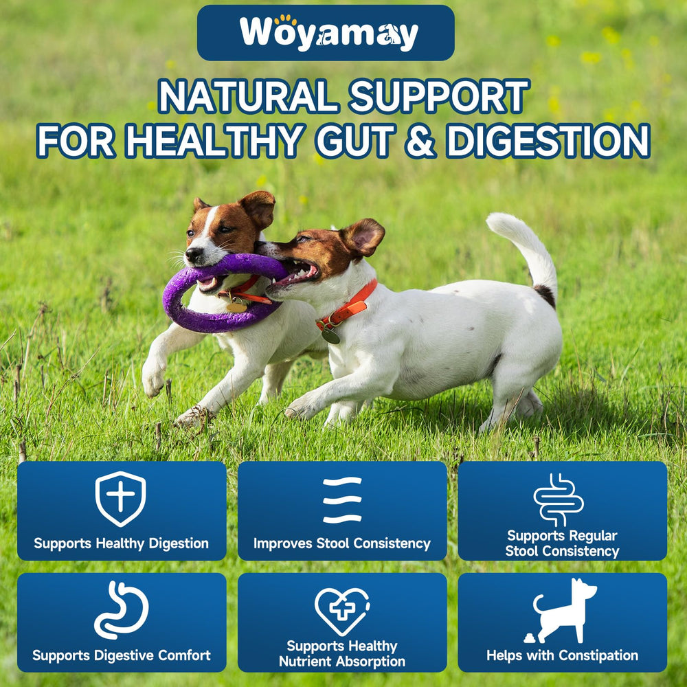Woyamay Dog Probiotic chews chicken flavor signals a palatable digestion aid.