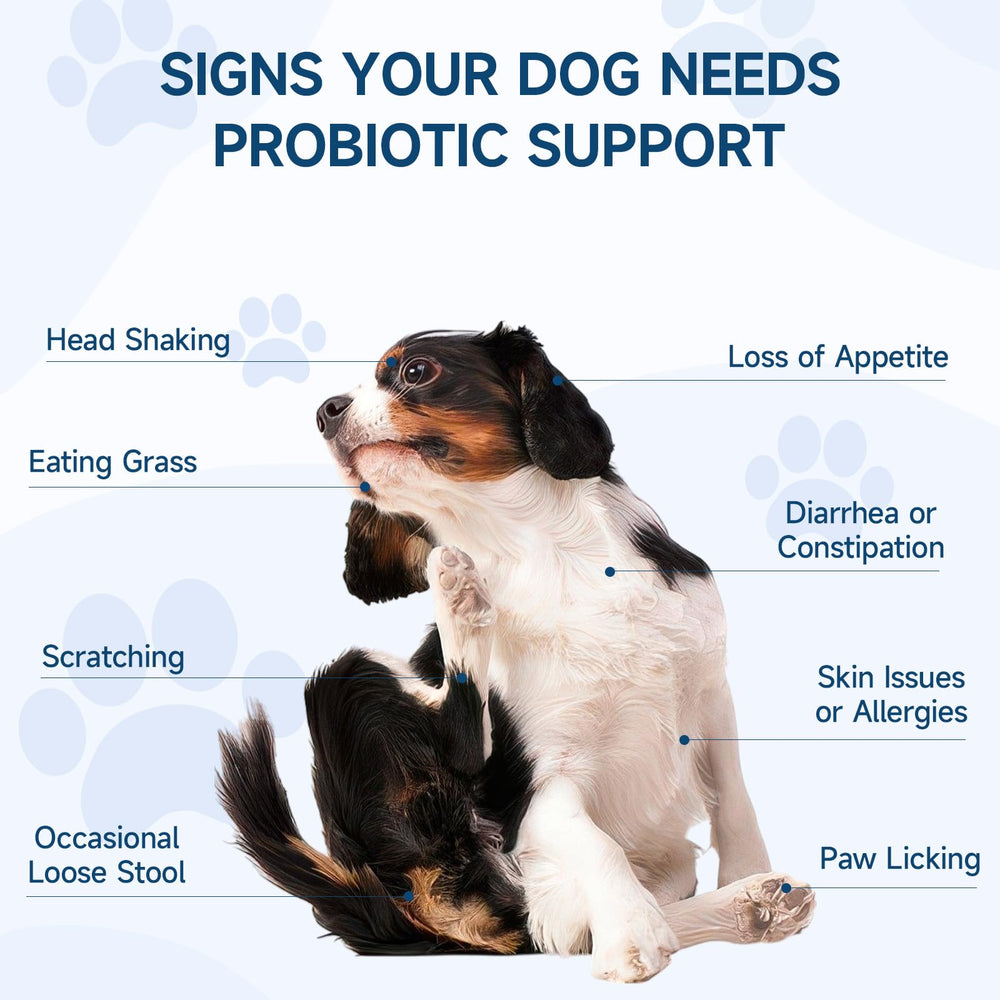 Woyamay Dog Probiotic chews being offered shows easy-to-feed daily routine.