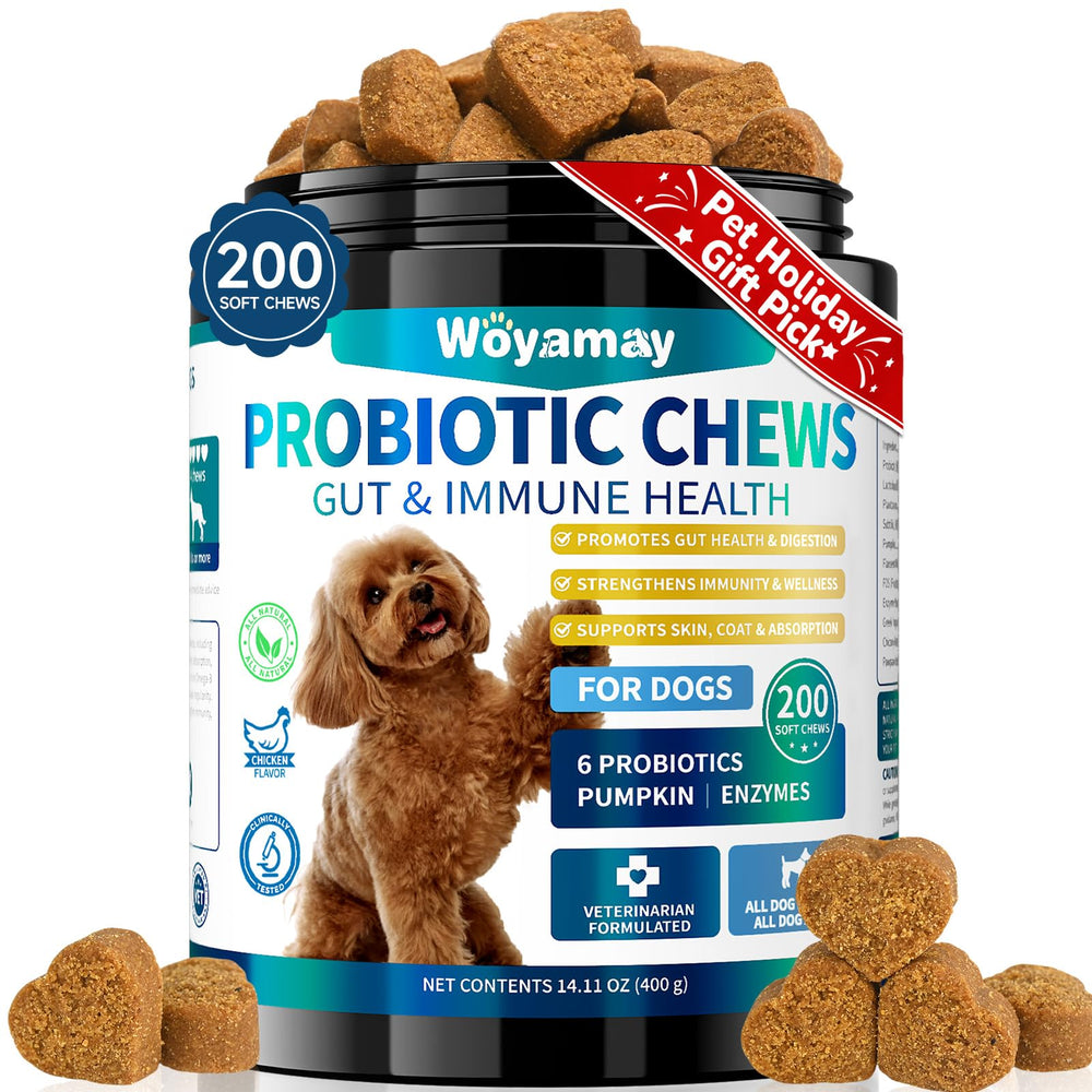 Woyamay Dog Probiotic chews package close-up showing convenient daily digestive support.