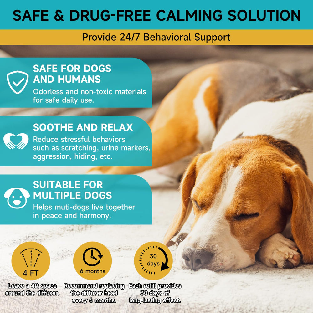 Woyamay dog relaxed after diffuser use during quiet time.