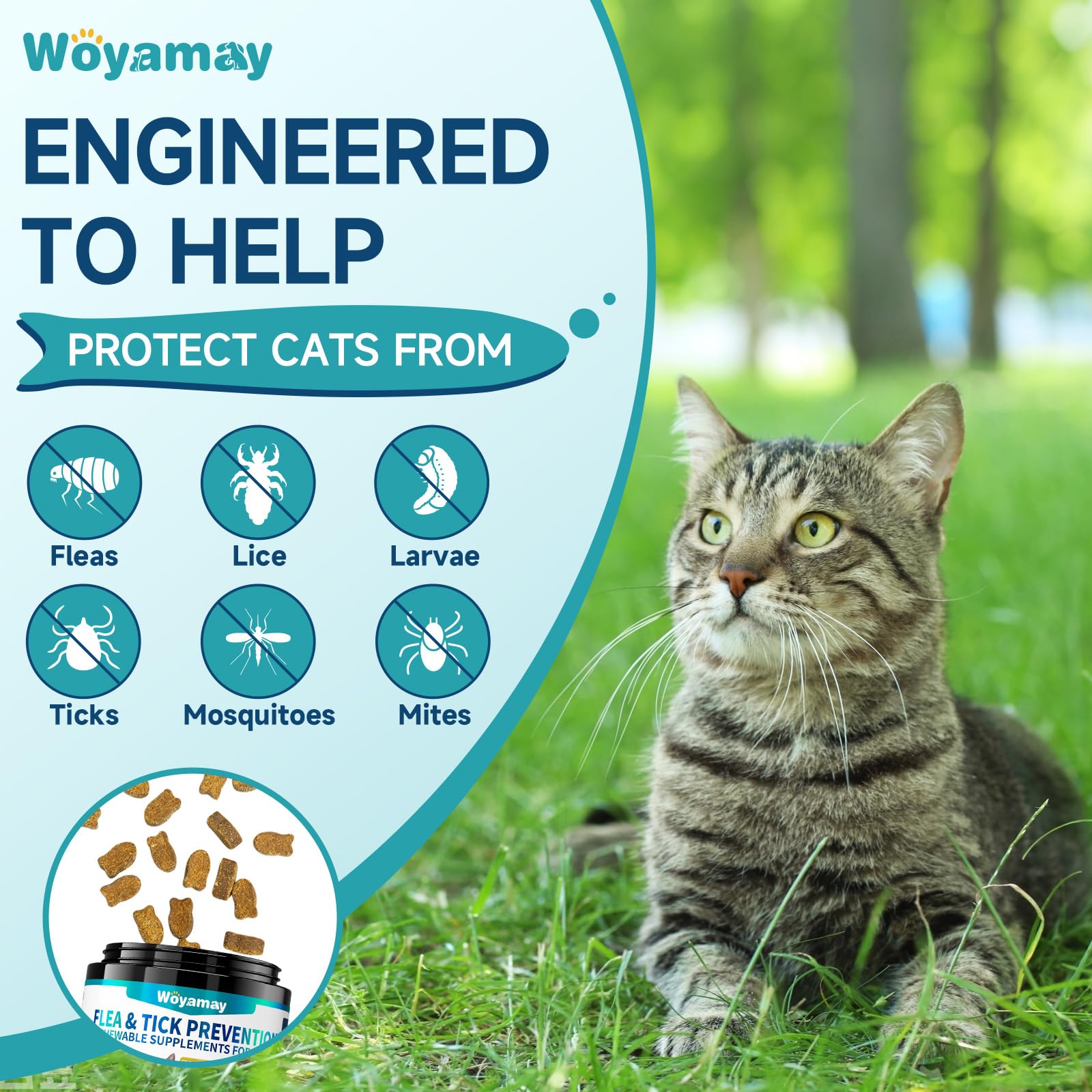 Woyamay flea-tick chews chicken flavor treats attract cats for consistent dosing.