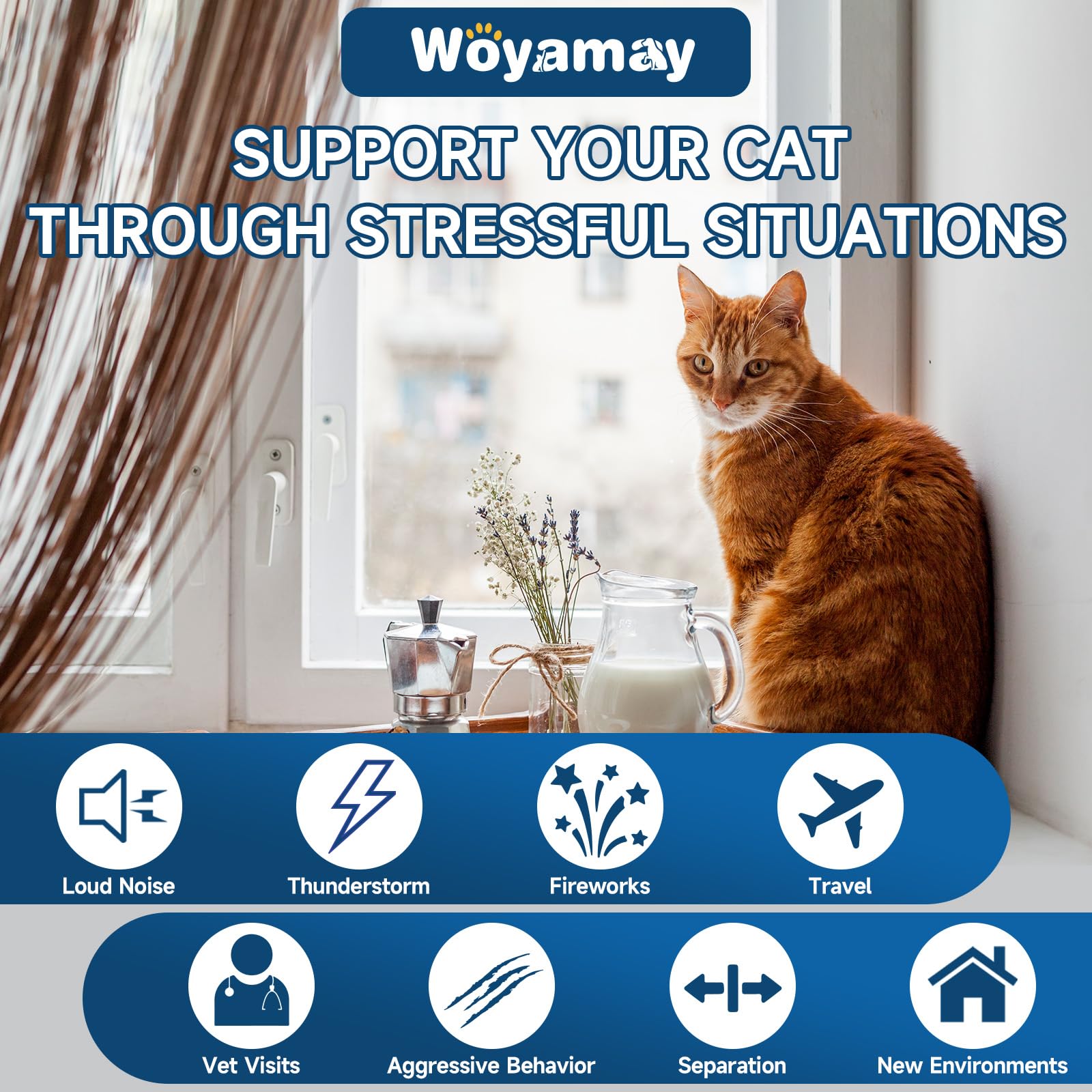 Woyamay hemp calming ingredients closeup with chamomile and valerian