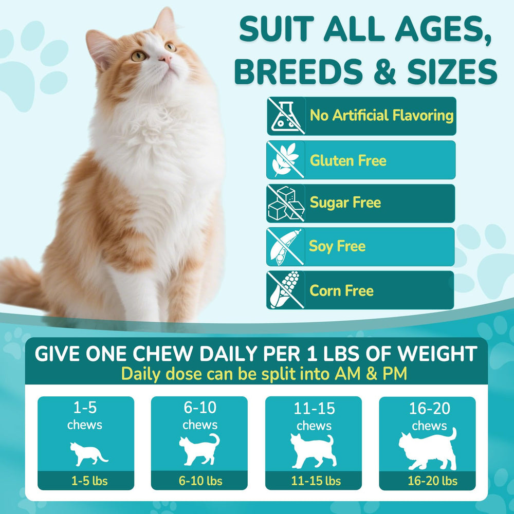 Woyamay natural ingredients pumpkin seed and coconut oil for gentle care.