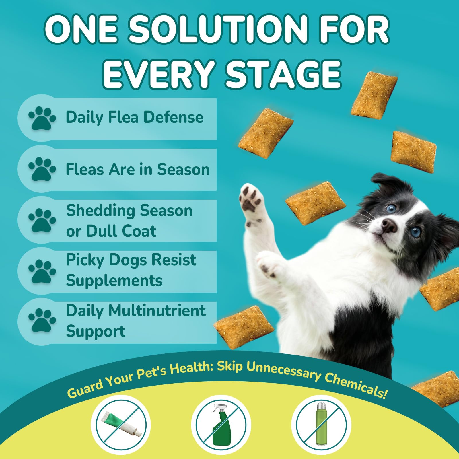 Woyamay picky-dog-friendly-chews for picky eaters and sensitive stomachs.