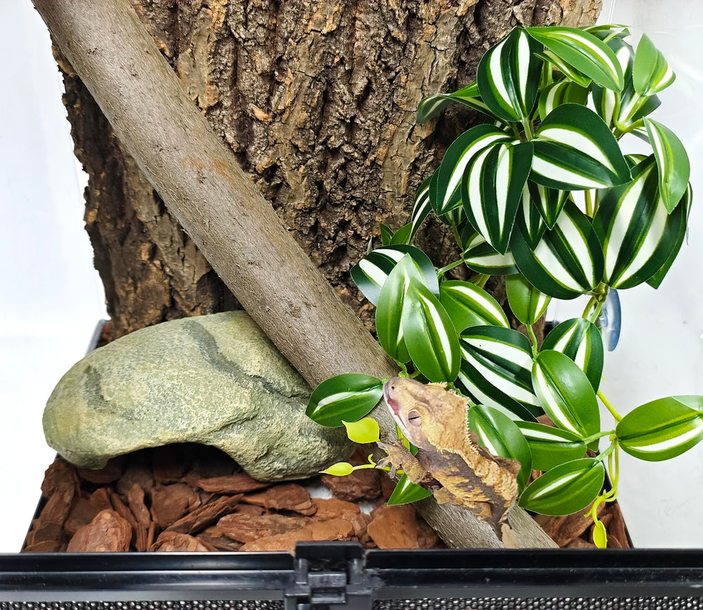 Woyrise artificial plant with suction cups securely mounts to glass terrariums