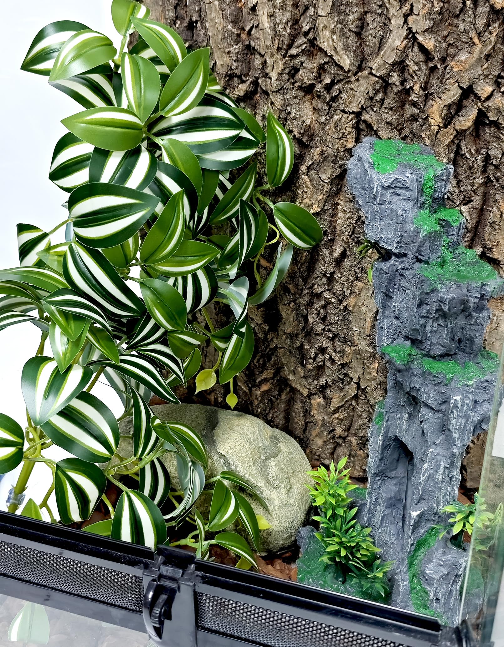 Woyrise easy-install terrarium accessory demonstrates quick suction-cup mounting for glass tanks