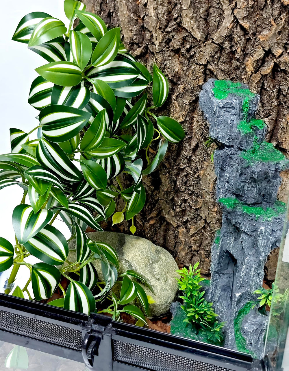 Woyrise easy-install terrarium accessory demonstrates quick suction-cup mounting for glass tanks