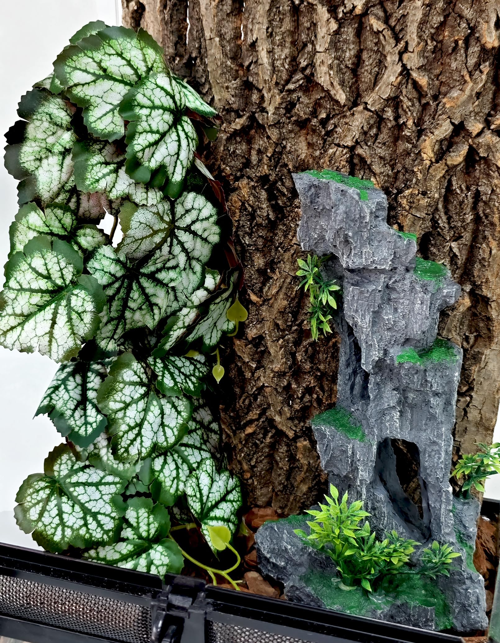 Woyrise Pet habitat decor offers climbing and hiding spots for reptiles
