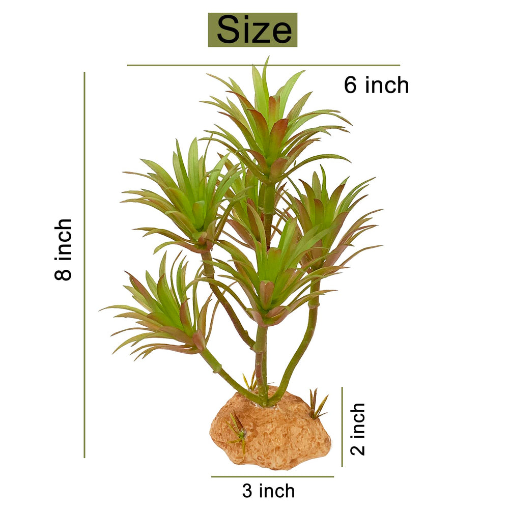 Woyrise reptile-plants suitable for bearded dragons, geckos, chameleons, snakes