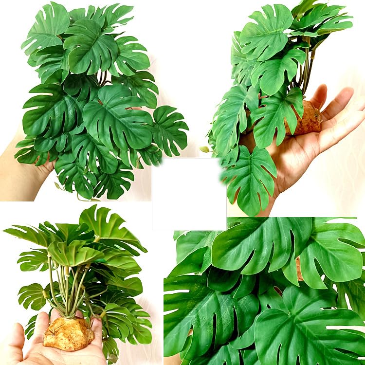 Woyrise bendable branches allow adjustable cover and layout in terrarium