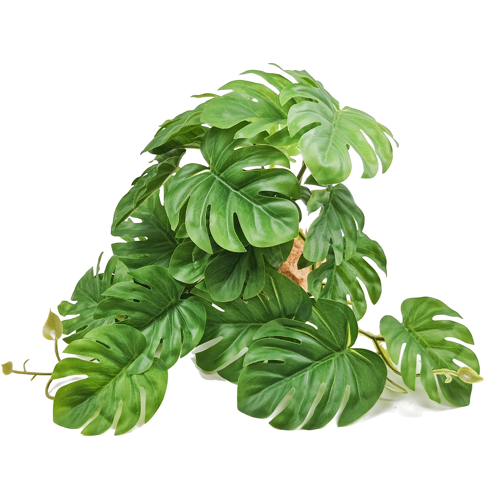Woyrise Monstera bush close-up highlights realistic texture for natural reptile habitat