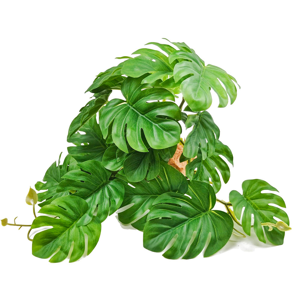Woyrise Monstera bush close-up highlights realistic texture for natural reptile habitat