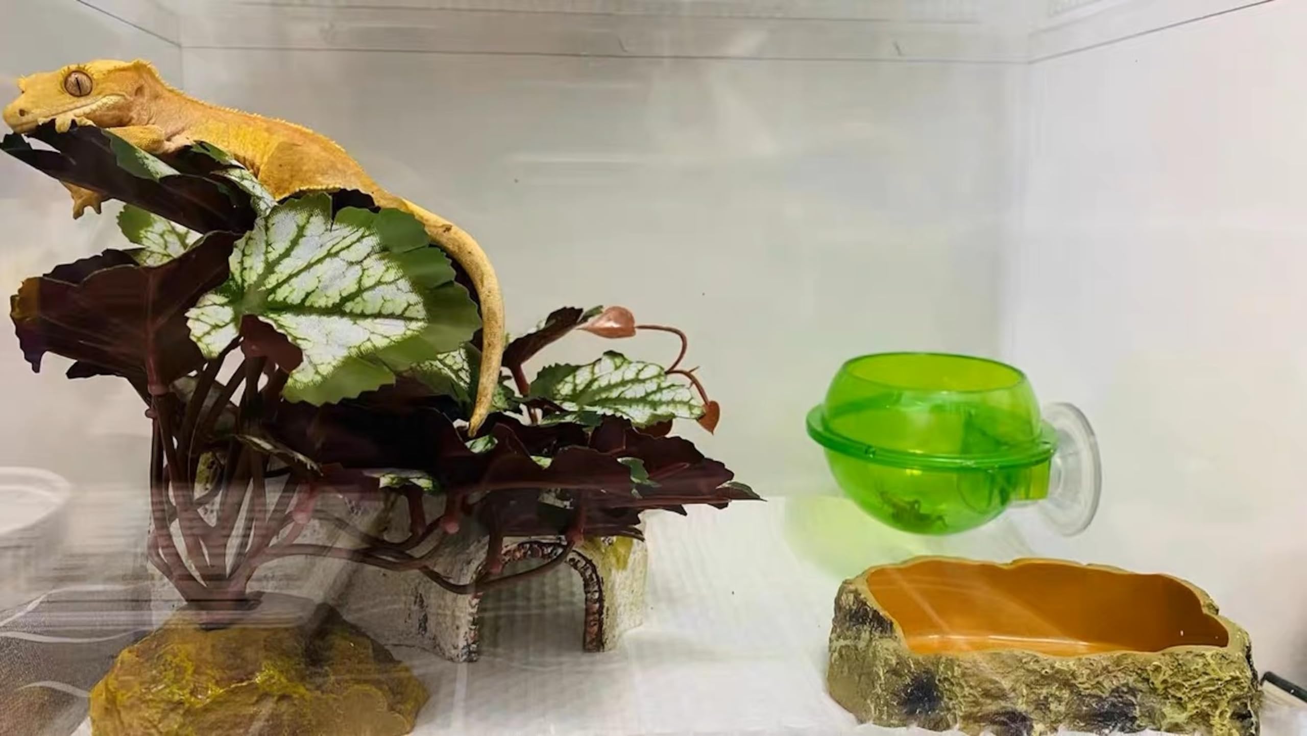 Woyrise reptile artificial plant rock-base detail emphasizes stable, natural-looking terrarium integration.