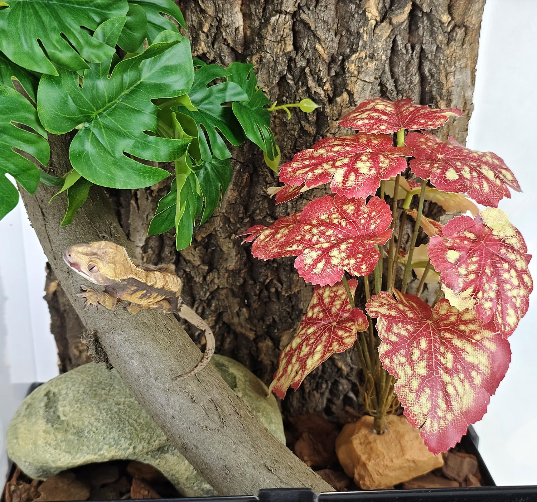 Woyrise Reptile Plants rock-base detail provides stable tank setup.