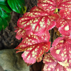 Woyrise Reptile Plants silk leaves with lifelike texture.