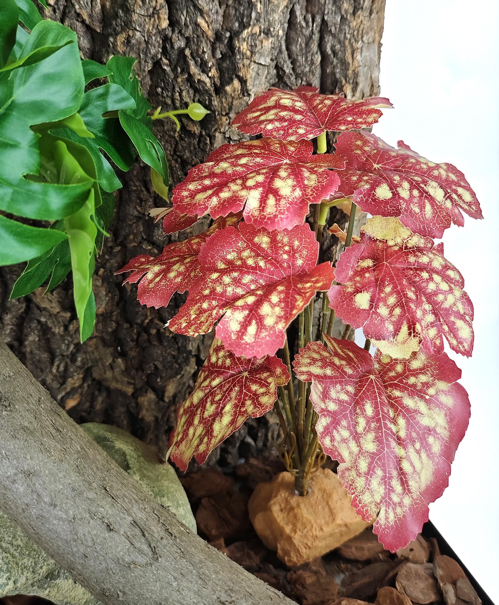 Woyrise Reptile Plants includes leafy branches ideal for climbing.