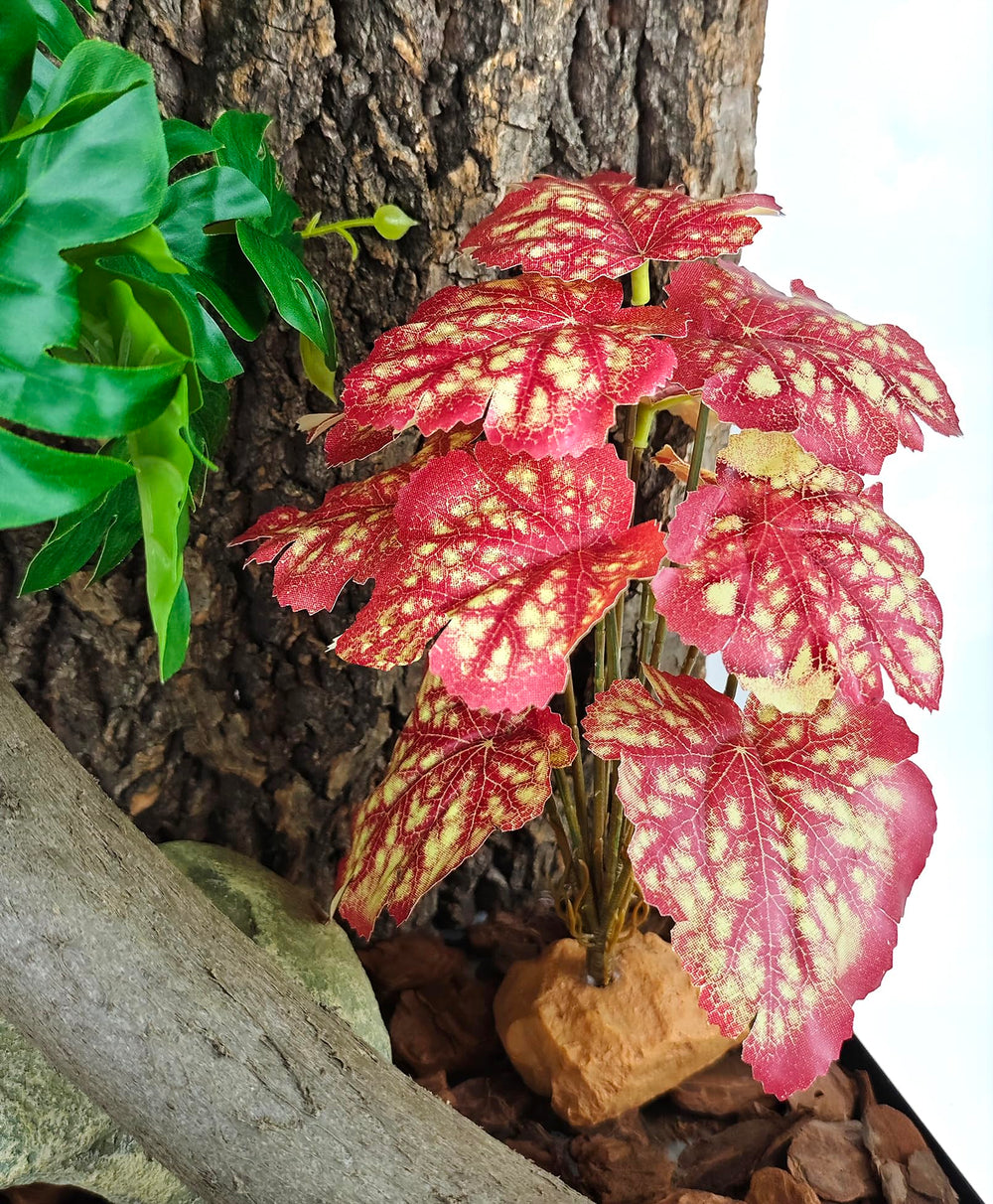 Woyrise Reptile Plants includes leafy branches ideal for climbing.