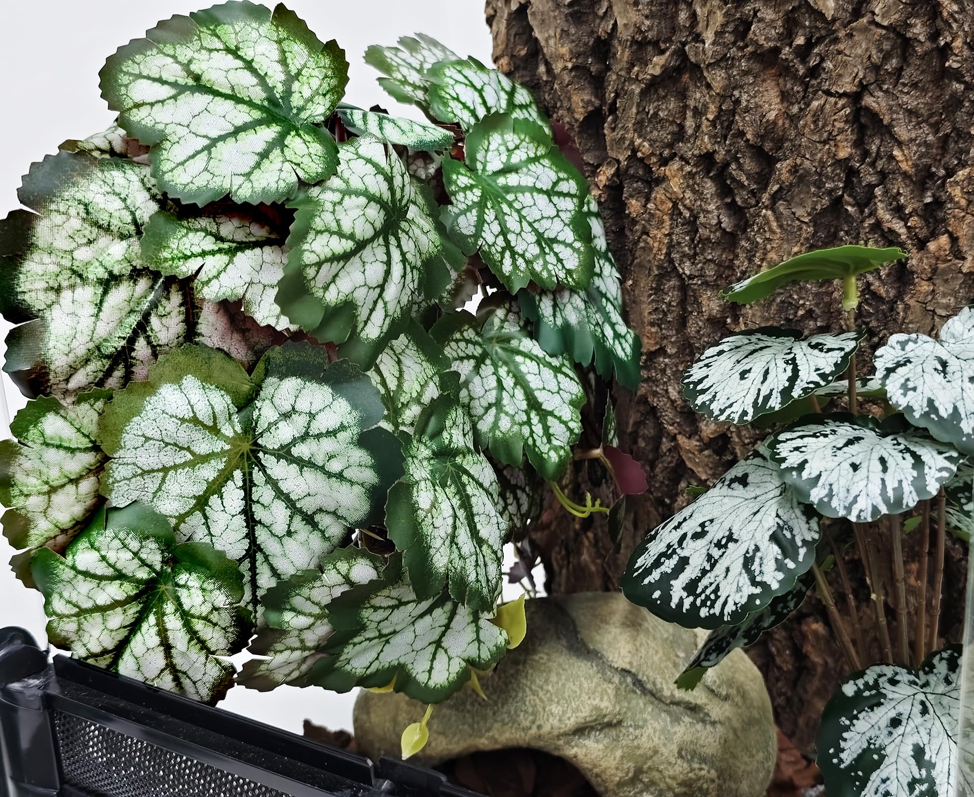 Woyrise Polyethylene material provides durable, maintenance-free terrarium accents