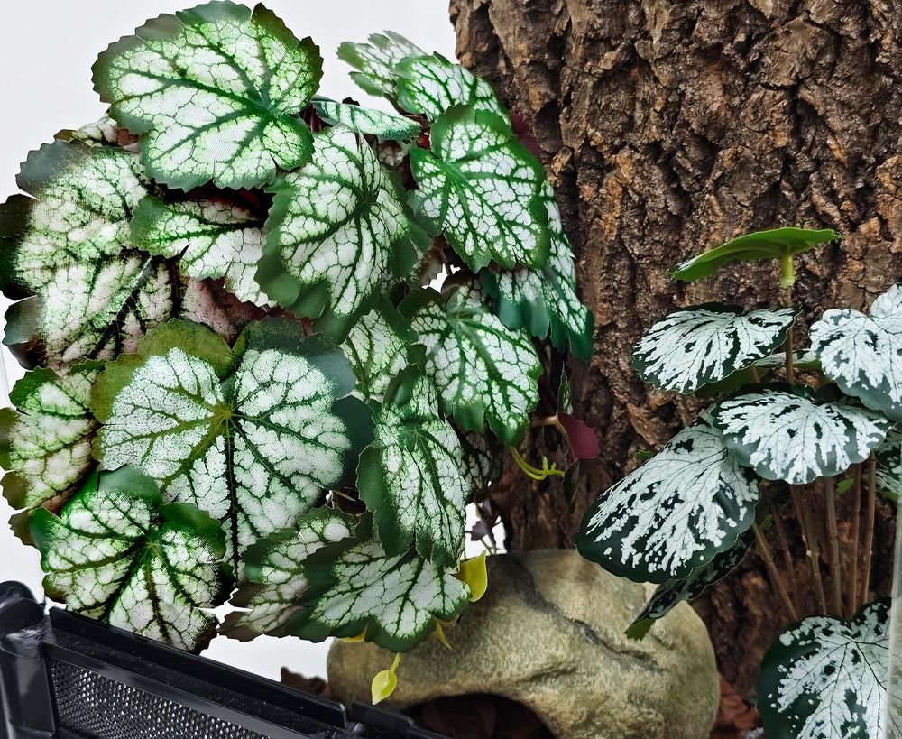 Woyrise Polyethylene material provides durable, maintenance-free terrarium accents