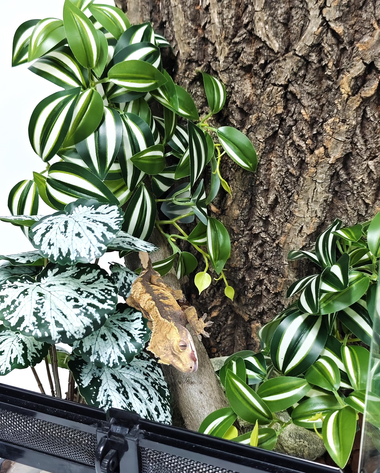Woyrise Zebrina Green close-up shows realistic textures for natural-beauty reptile enclosures