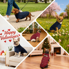 WOYYHO dog sweater red knit back detail horn button for style warmth