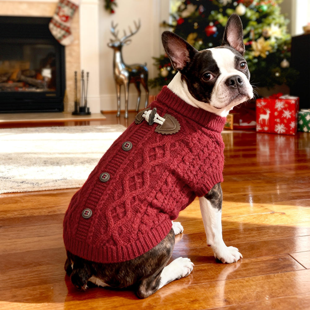 WOYYHO dog sweater red worn by puppy during photoshoots