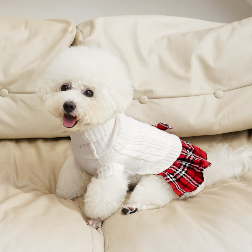 WOYYHO durable machine-washable dog clothes simplify post-adventure care