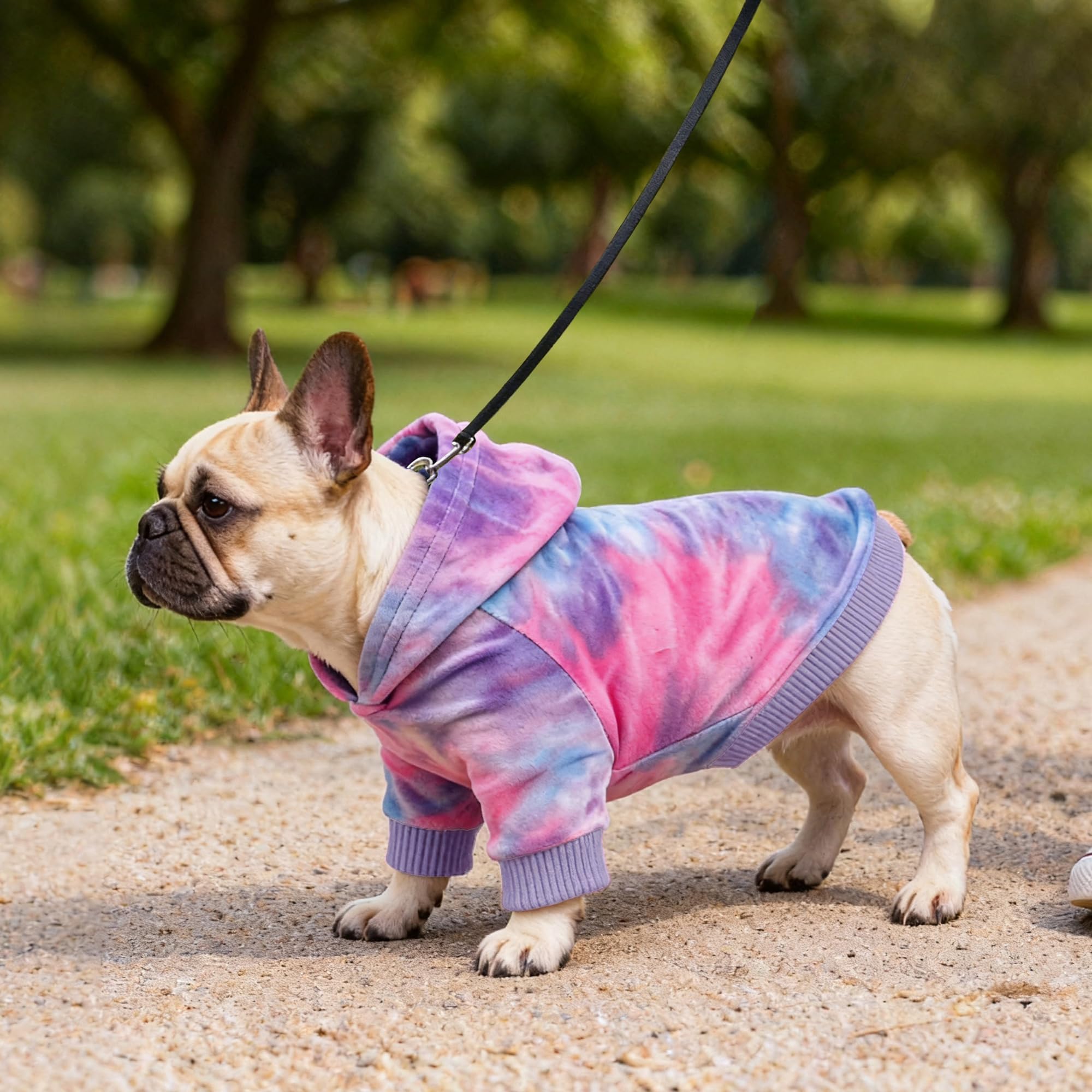 WOYYHO premium velvet tie-dye dog hoodie raglan-sleeves enhance movement and freedom.