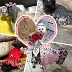 WOYYHO turtleneck sleeveless knitwear keeps pets cozy on cold days