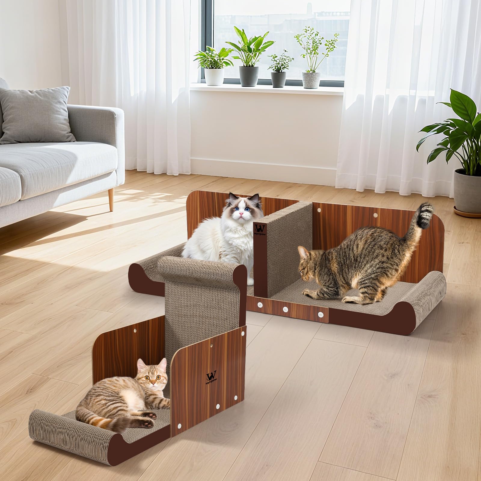 WPVPaw two-cat relaxation space illustrates shared lounging and playtime benefits