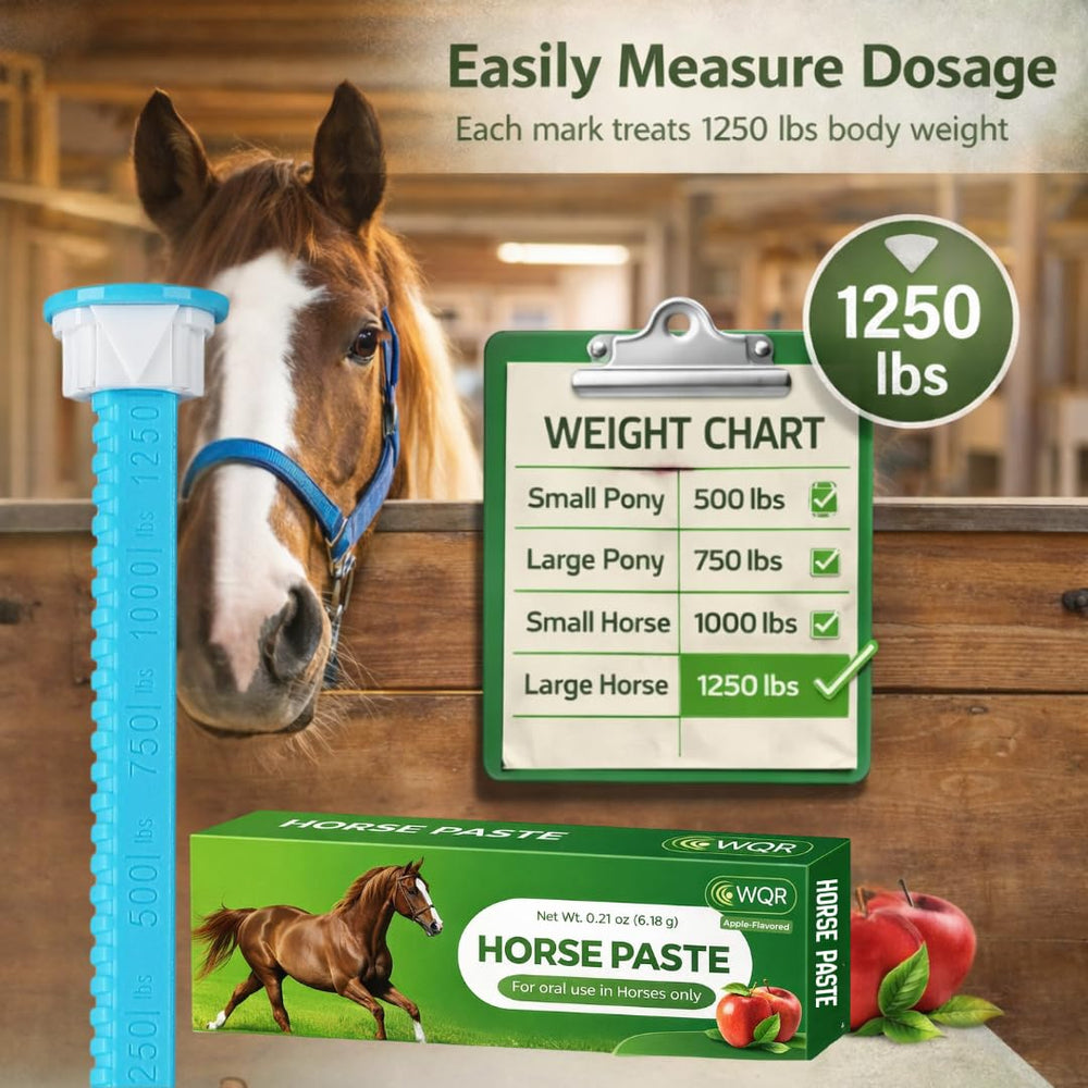 WQR apple-flavored paste being applied to a calm horse for stress-free administration