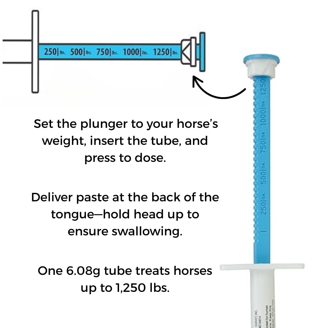 WQR pack of 3 syringes ready for regular equine dosing and multi-horse care