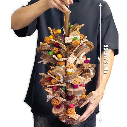 WQY GroceryShop colorful wood blocks image showcases engaging parrot enrichment