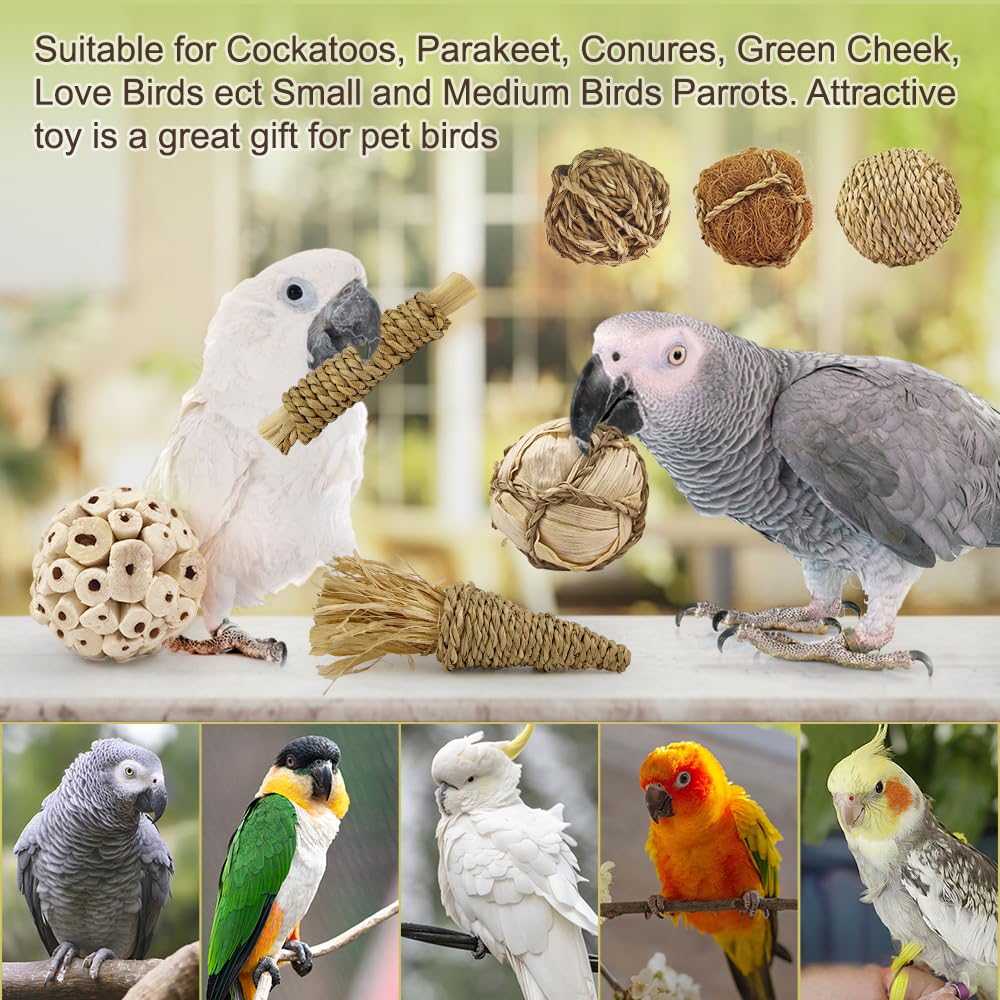 WQY GroceryShop 7Pcs Bird Toy interactive play supports mental stimulation