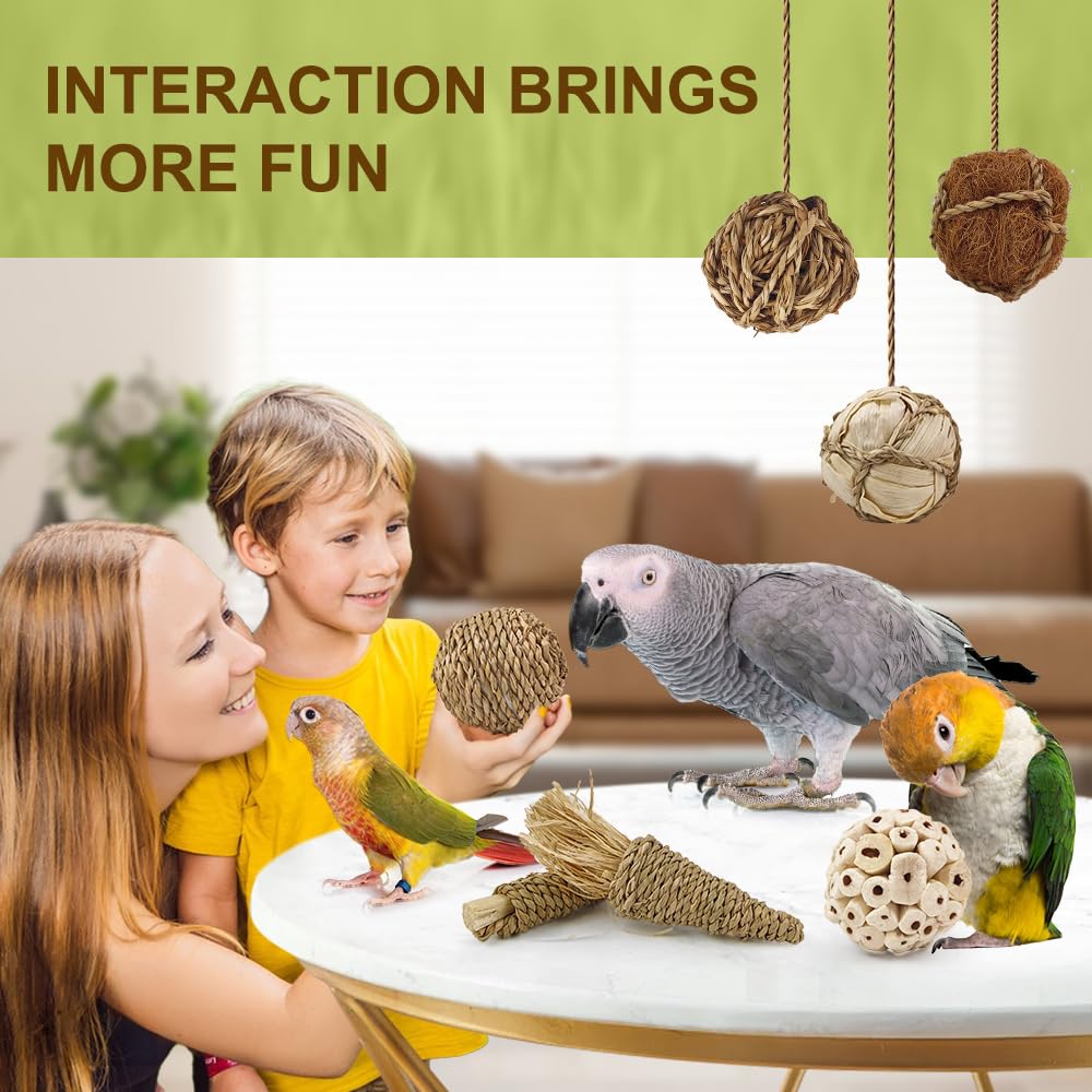 WQY GroceryShop 7Pcs Bird Toy inside box reveals 5 sola balls and 2 chewing carrots