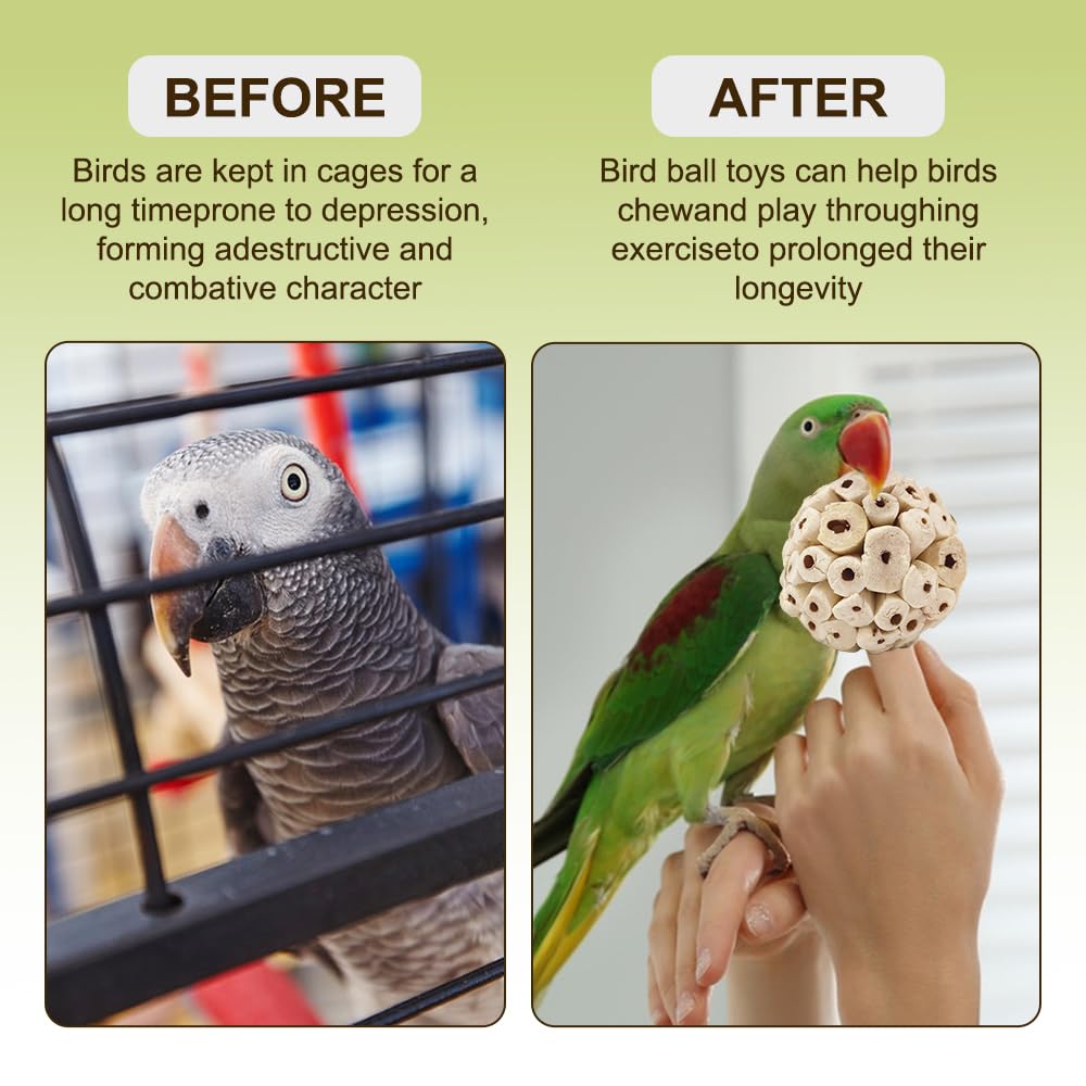 WQY GroceryShop 7Pcs Bird Toy in action foraging and shredding play