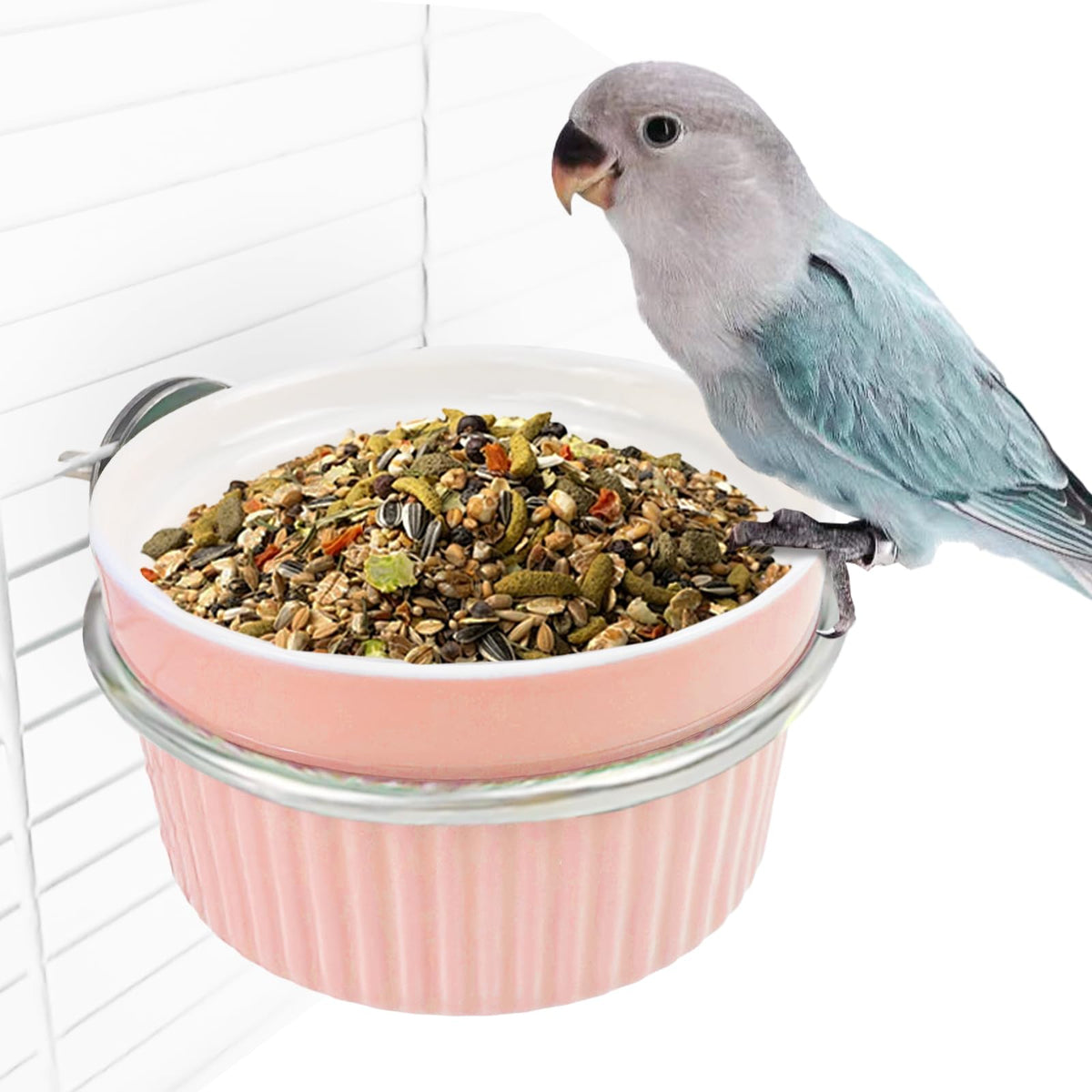 WQY GroceryShop ceramic bird bowl with secure clip for easy feeding.
