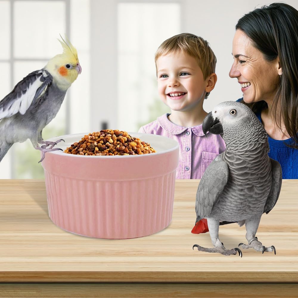 WQY GroceryShop easy-clean feeder simplifies quick post-use rinse.