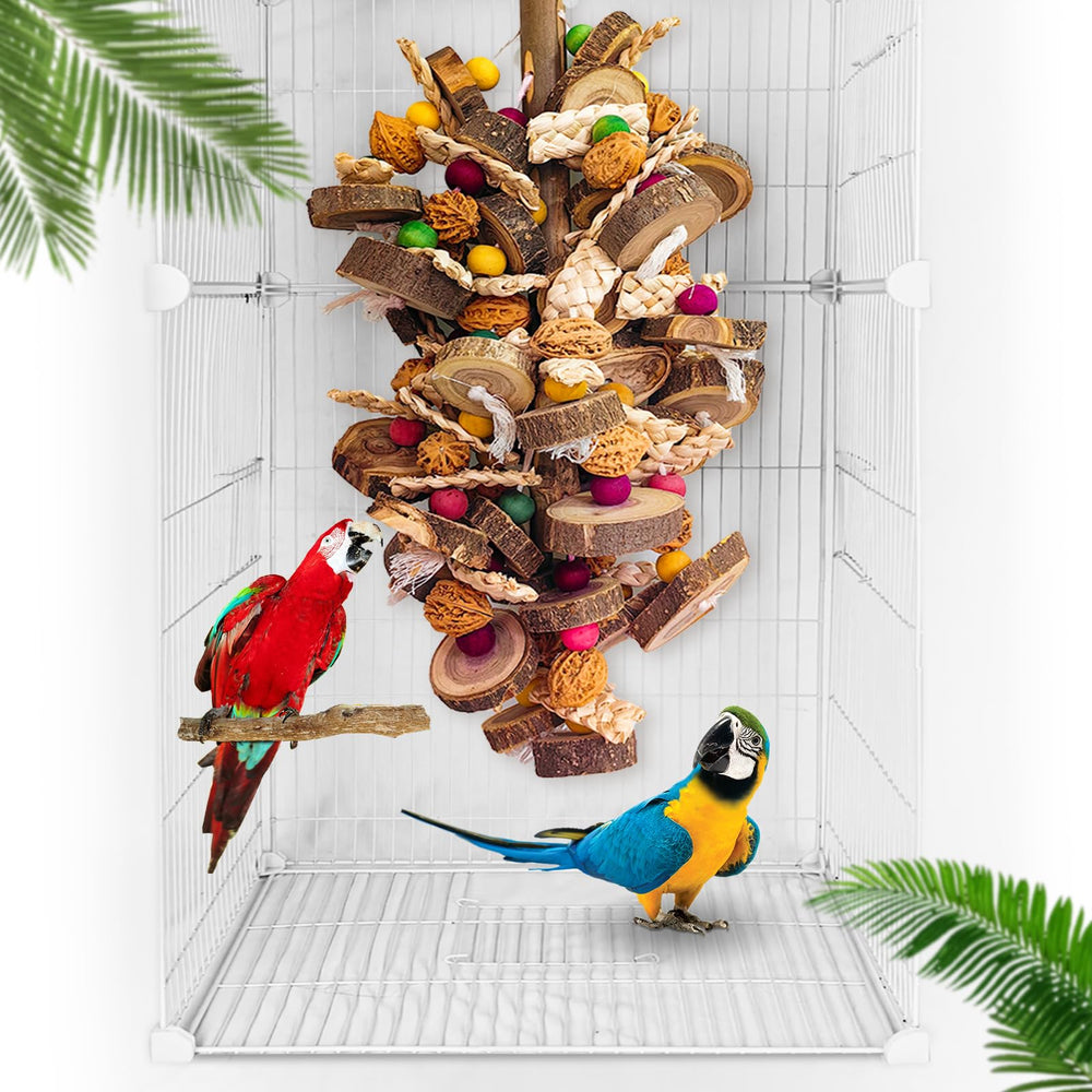 WQY GroceryShop extra-large parrot toy walnut closeup highlights durable chewing