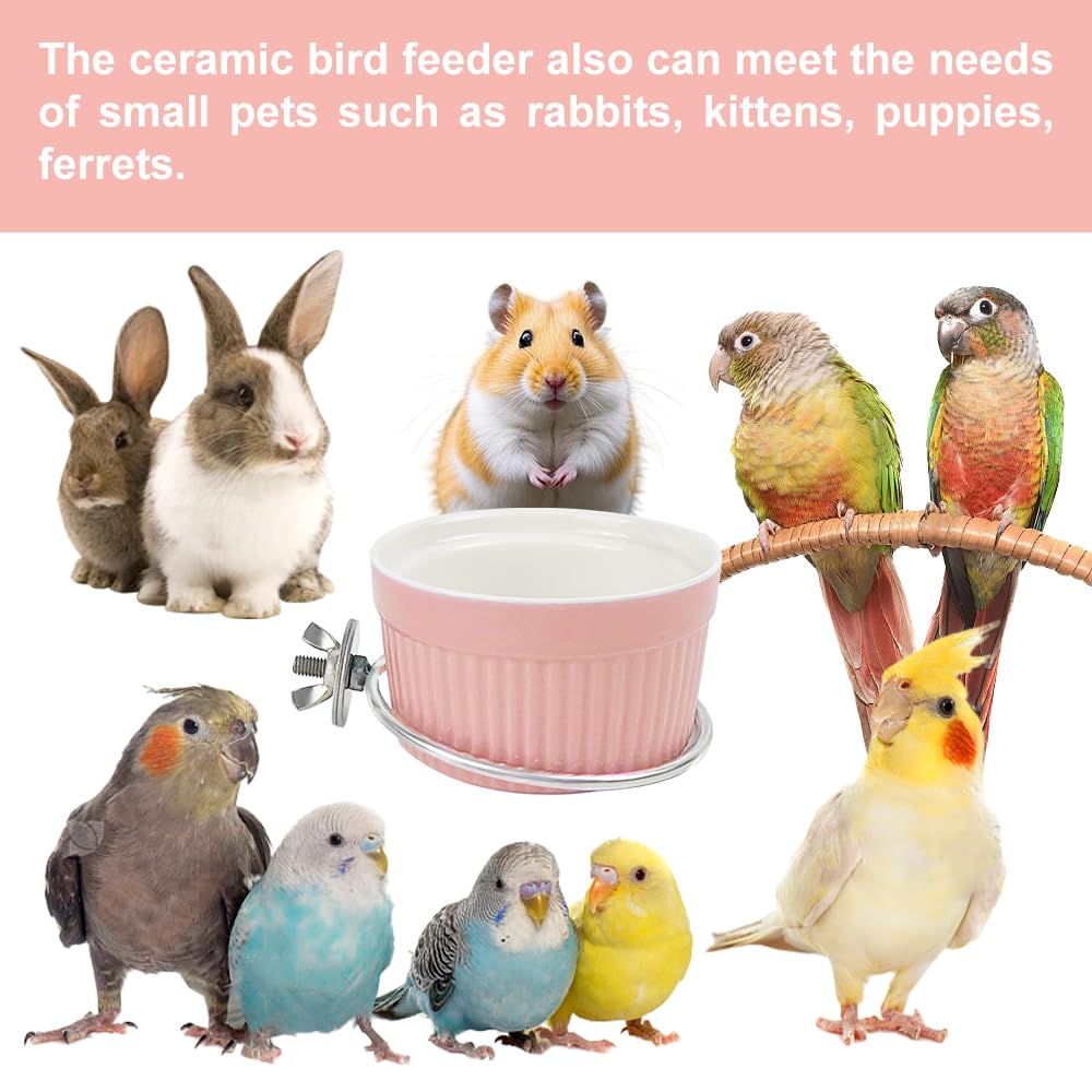 WQY GroceryShop versatile use inside or outside cage feeding.