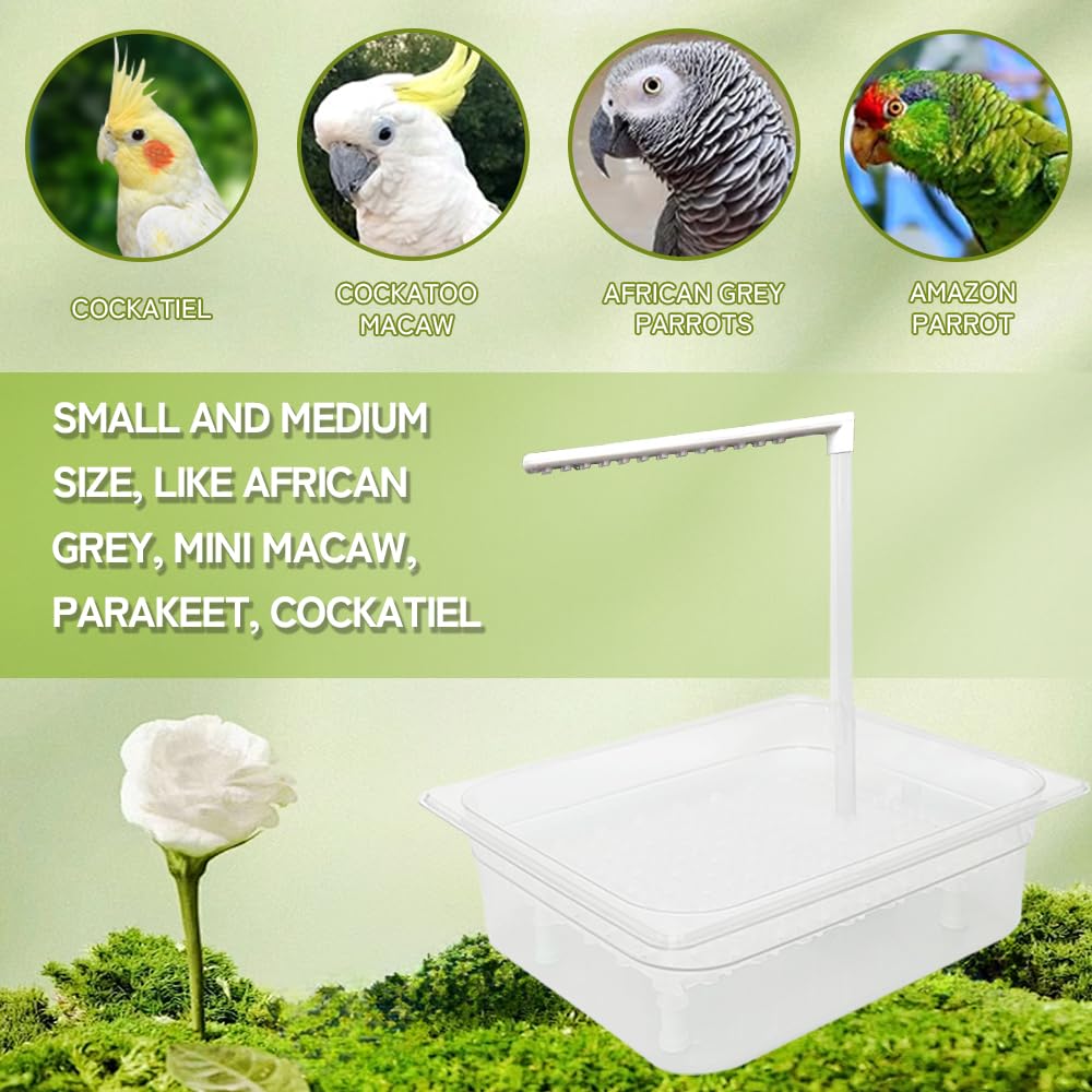 WQY GroceryShop parrot bath includes 3 chew balls for bird entertainment