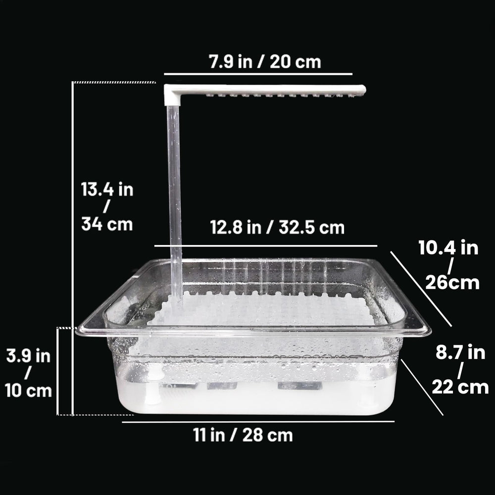 WQY GroceryShop parrot bath versatile for various birds and play