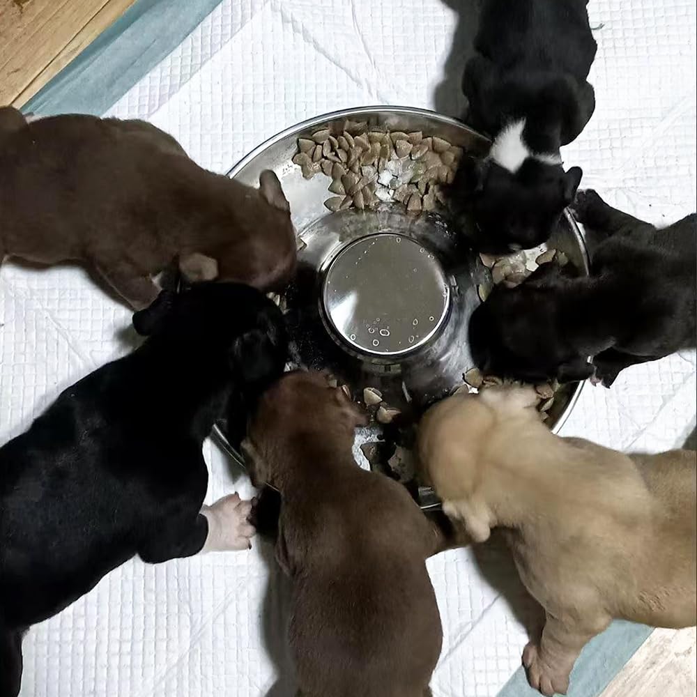 Wrifazaly stackable bowls shown neatly stored to save pantry space.