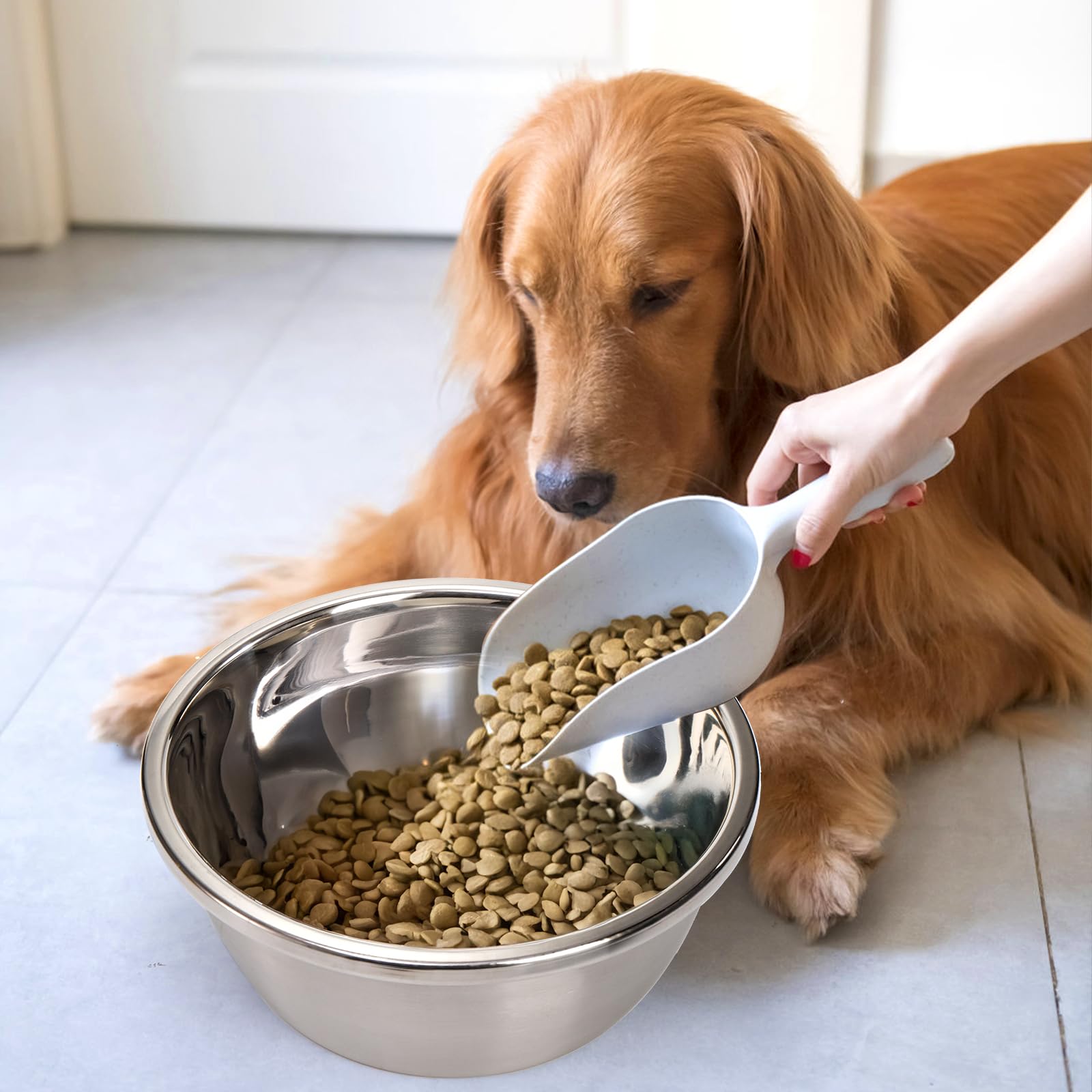 WRINGKIT giant dog bowls suitable for multi-pet households