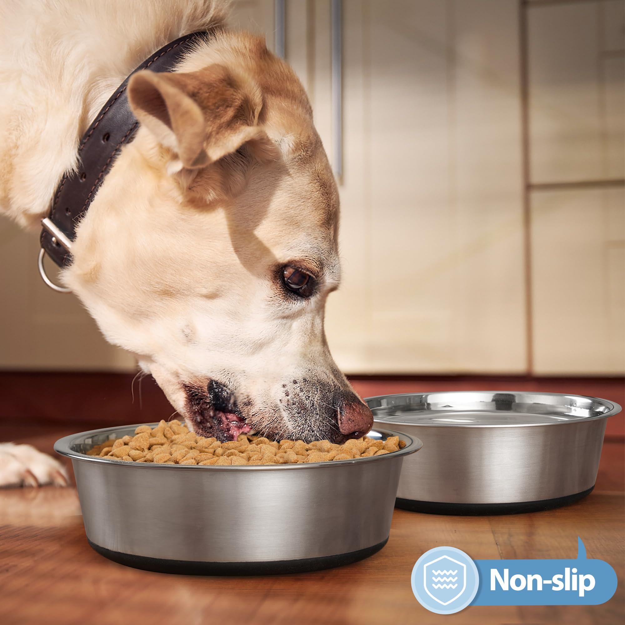 WROSWT stainless steel bowls 17oz capacity ideal for small dogs' meals