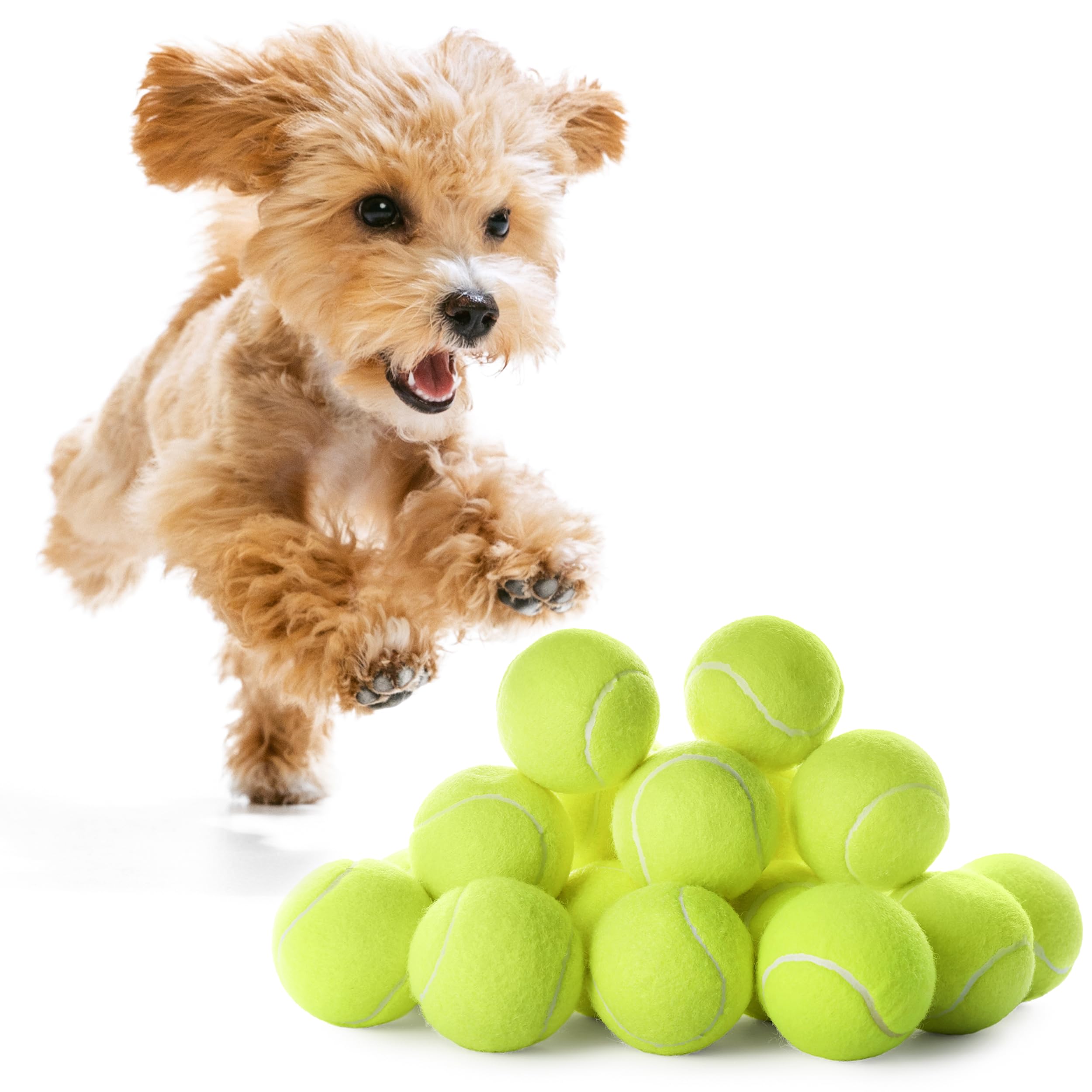 WRTZ 12 mini tennis balls for dogs pack for safe small-dog fetch.