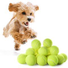 WRTZ 12 mini tennis balls for dogs pack for safe small-dog fetch.