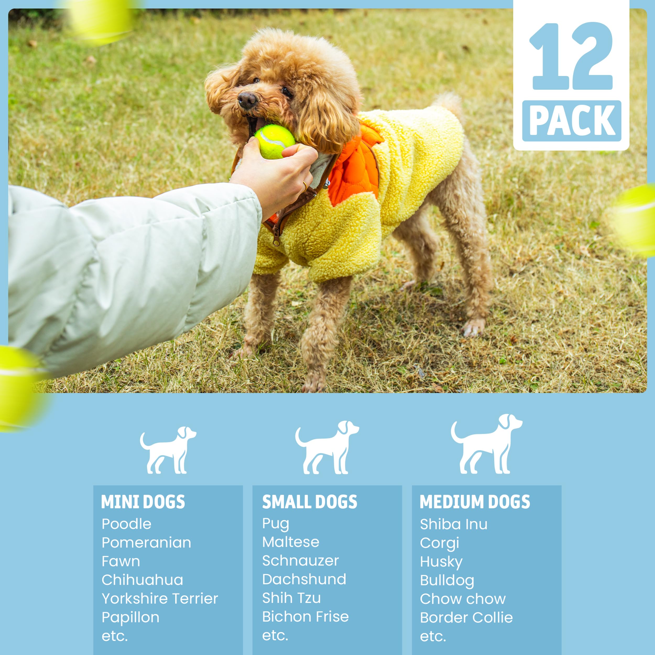WRTZ compact toy set supports on-the-go fetch with reliable grip.
