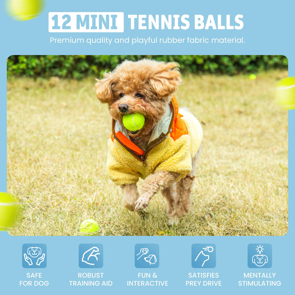 WRTZ durable dog balls designed for small breeds withstand repeated play.