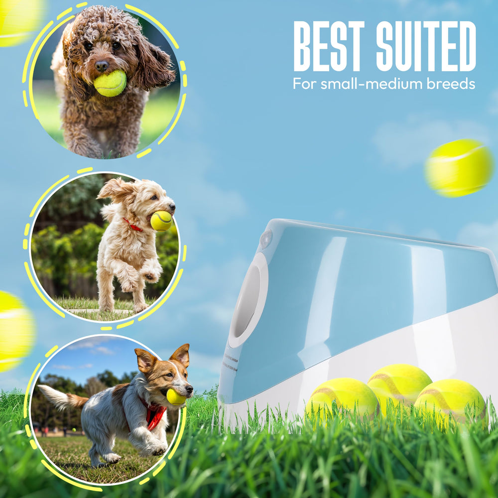 WRTZ 2-inch mini tennis balls included for small to medium dogs.